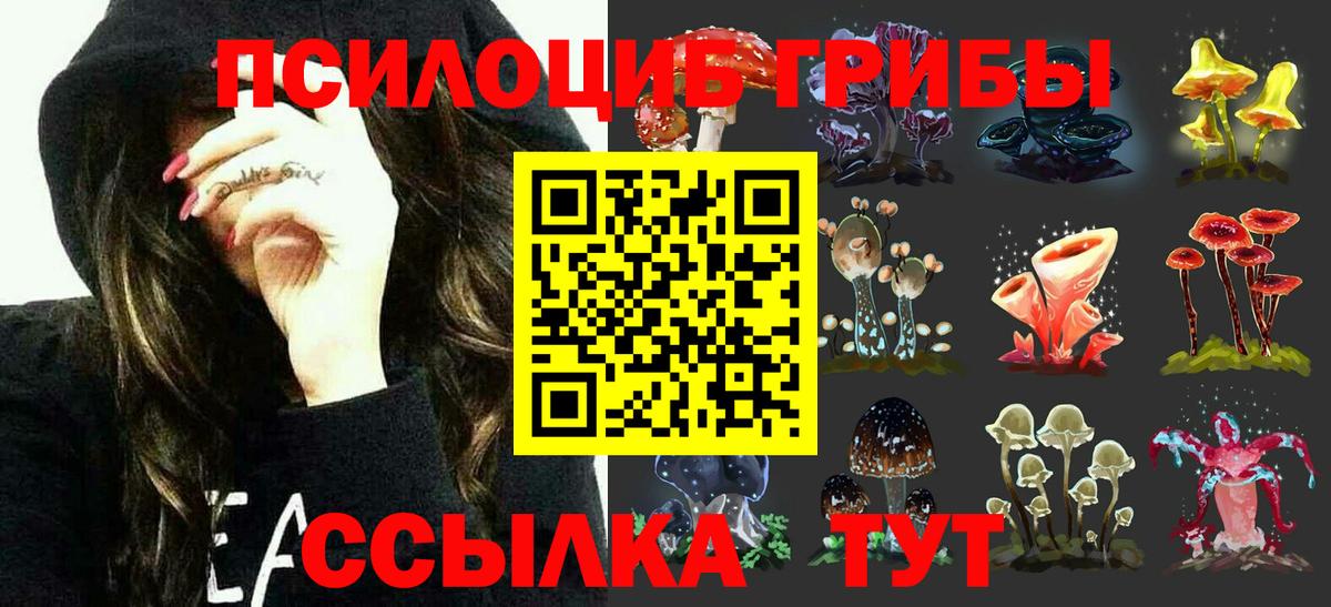 Гусев  Галлюциногенные грибы Cubensis  Вход с VPN  купить наркотик  Псилоцибиновые грибы Psilocybe 